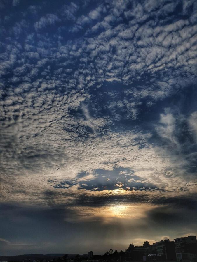 La Madrague Daire Saint-Cyr-sur-Mer Dış mekan fotoğraf